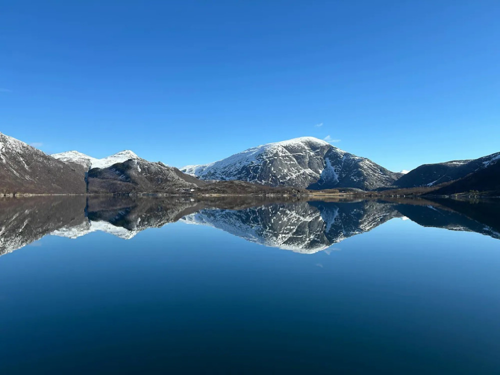 Beiarfjord & Saltstraumen Cruise