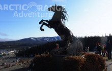 Arctic Range Adventure6