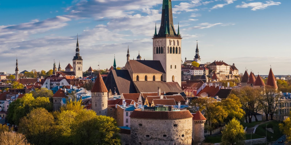 Tallinn Day Cruise & Private Guided Tour from Helsinki