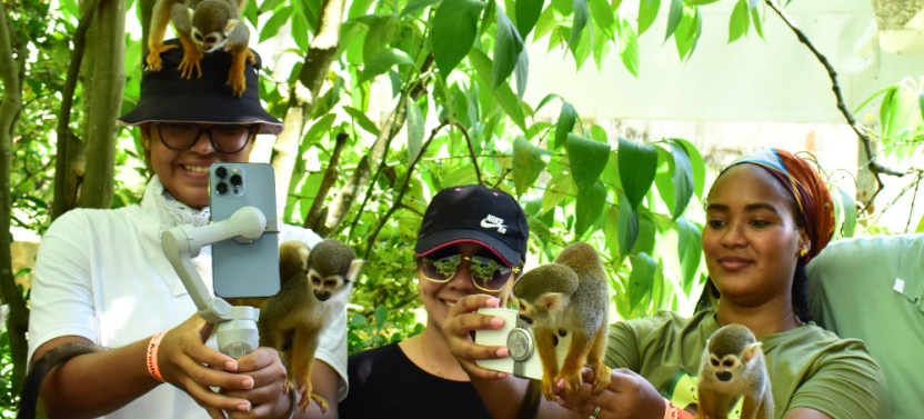 Combo: Monkey Land, Zipline, & Coconut Oil Making