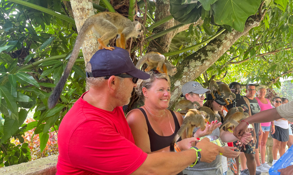 Combo: Monkey Land, Zipline, & Coconut Oil Making