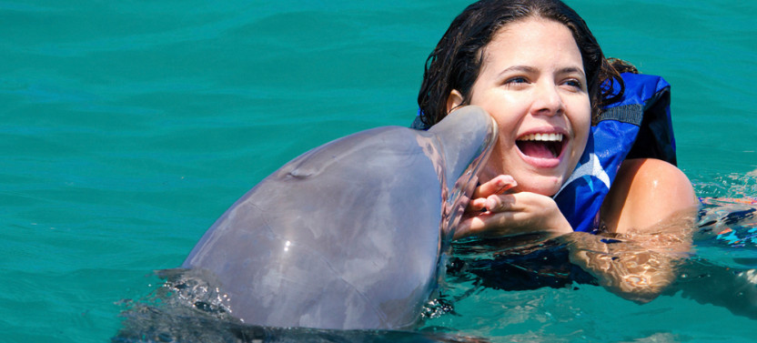 Dolphin Experience in Punta Cana