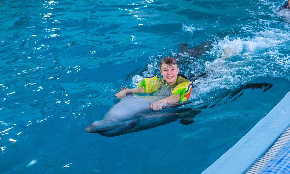 Dolphin Experience in Punta Cana