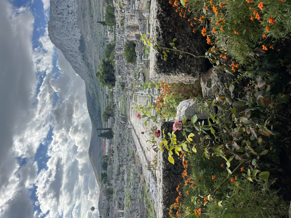 Athena Private Tours