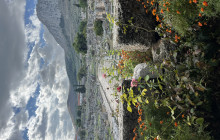 Athena Private Tours19