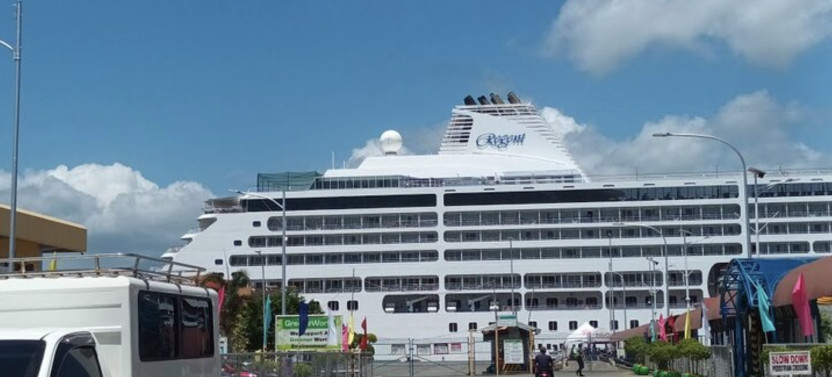 Puerto Princesa Shore Excursion with City Sights, Museums & Filipino Lunch