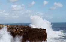 Ó Turista! Tours and Trips6