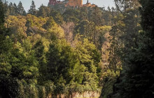 Ó Turista! Tours and Trips6