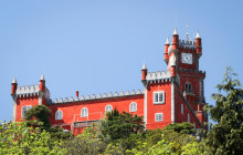 Ó Turista! Tours and Trips7