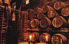 Ó Turista! Tours and Trips2