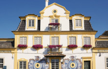 Ó Turista! Tours and Trips4