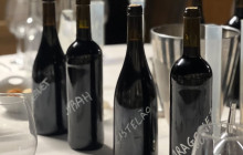 Ó Turista! Tours and Trips7