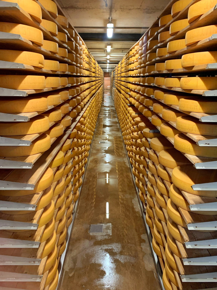 Bern Small Group Tour - Gruyères Castle, Cheese, and Chocolate Tasting