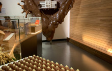Tours of Switzerland3