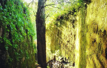 Miguel Boim (O Caminheiro de Sintra)3