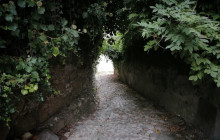 Miguel Boim (O Caminheiro de Sintra)5