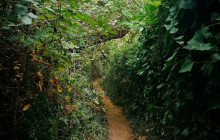 Miguel Boim (O Caminheiro de Sintra)12