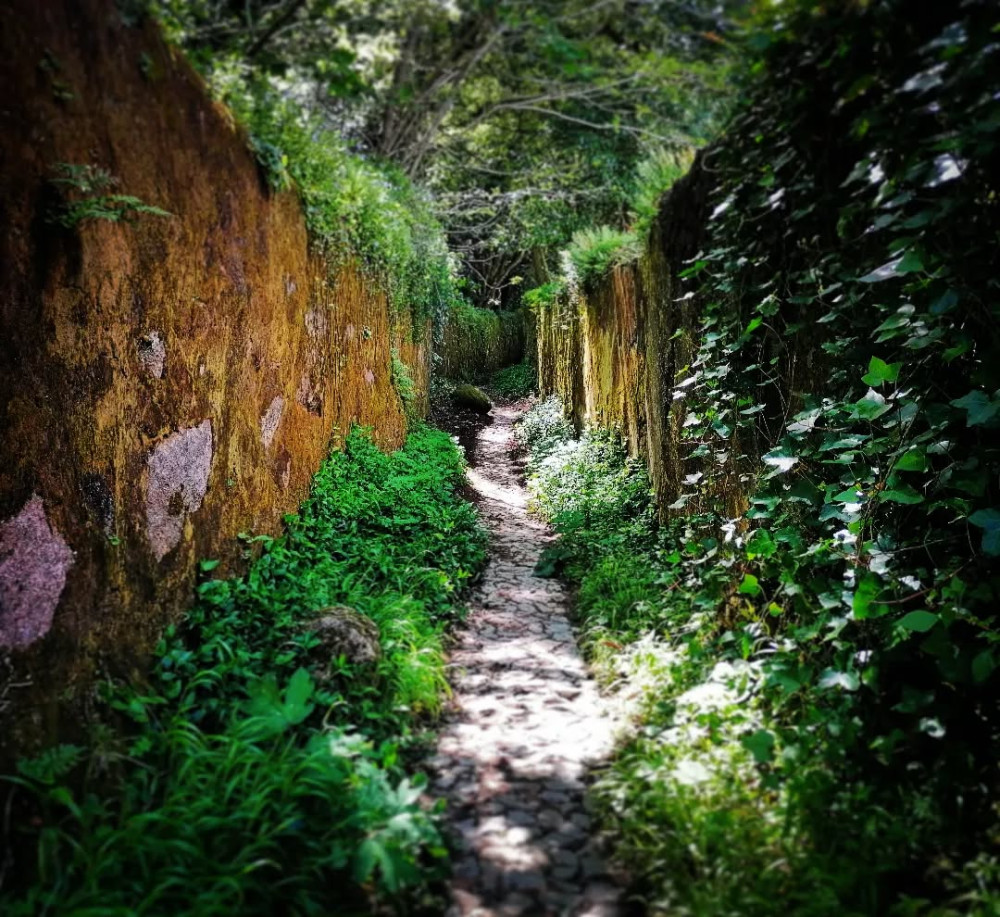 Private Romantic Walking Tour for Honeymooners in Sintra