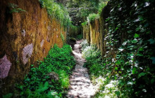 Miguel Boim (O Caminheiro de Sintra)1