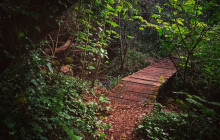 Miguel Boim (O Caminheiro de Sintra)5