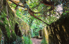 Miguel Boim (O Caminheiro de Sintra)8