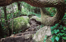 Miguel Boim (O Caminheiro de Sintra)8