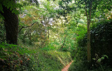 Miguel Boim (O Caminheiro de Sintra)7