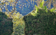 Miguel Boim (O Caminheiro de Sintra)9