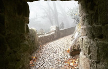 Miguel Boim (O Caminheiro de Sintra)14
