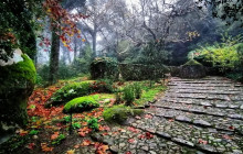 Miguel Boim (O Caminheiro de Sintra)16