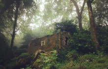 Miguel Boim (O Caminheiro de Sintra)17