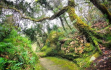 Miguel Boim (O Caminheiro de Sintra)9