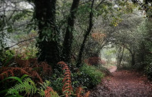 Miguel Boim (O Caminheiro de Sintra)13