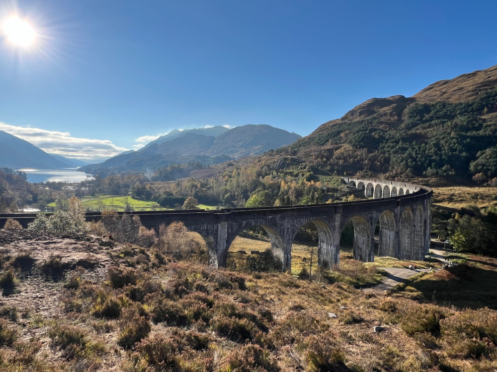 1-Day Glenfinnan Viaduct, Hairy Coos & The Highlands