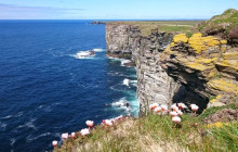Highland Experience6