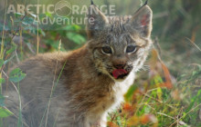 Arctic Range Adventure6