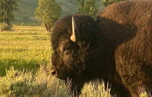 Guides of Jackson Hole3