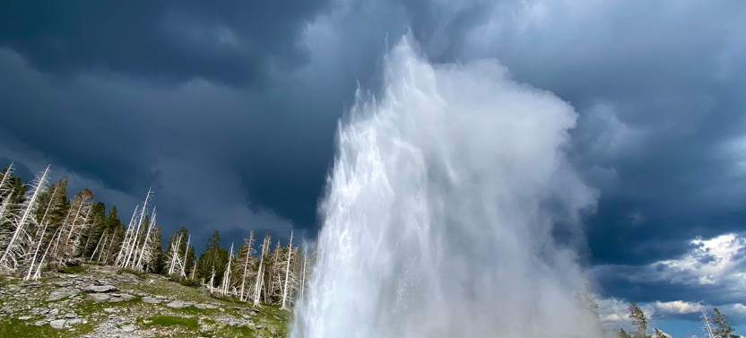 Private Full-Day Yellowstone Lower Loop Tour from Jackson