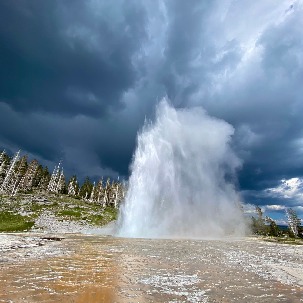 Private Full-Day Yellowstone Lower Loop Tour from Jackson