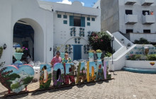 Fury Water Adventures Key West7