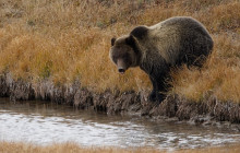 Guides of Jackson Hole9