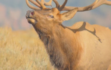 Guides of Jackson Hole10