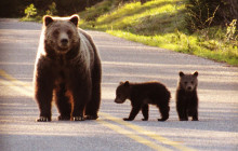Guides of Jackson Hole15