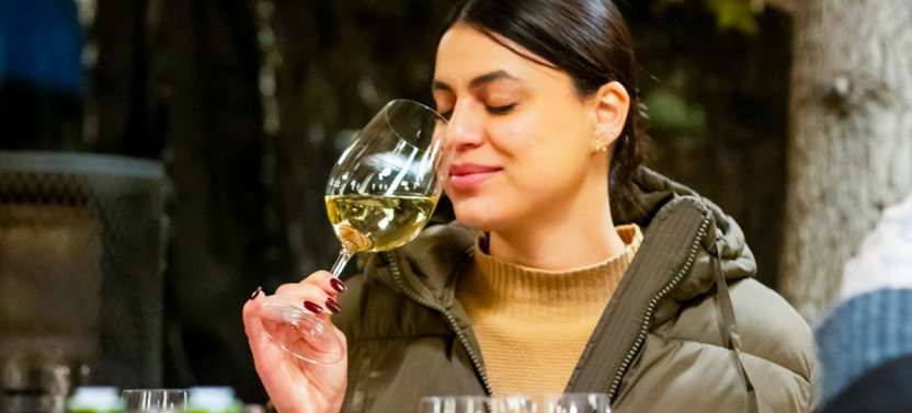 Premium Sensory Wine Experience at Concha y Toro Winery Pirque