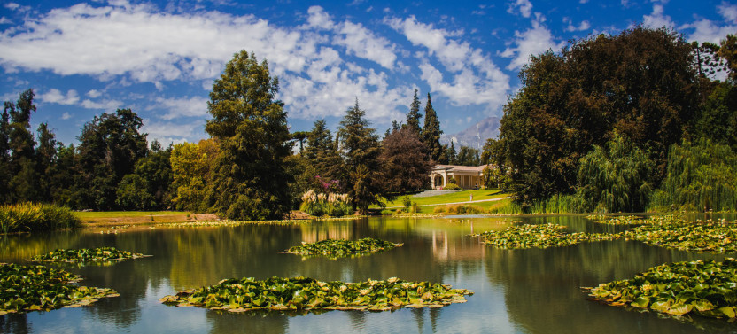 Premium Sensory Wine Experience at Concha y Toro Winery Pirque