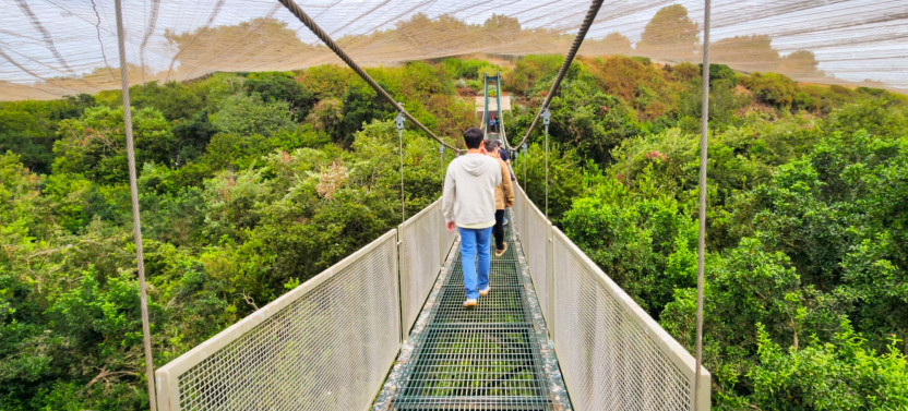 Tricao Park Aviary & Undurraga Winery Day Tour with Wine Tasting