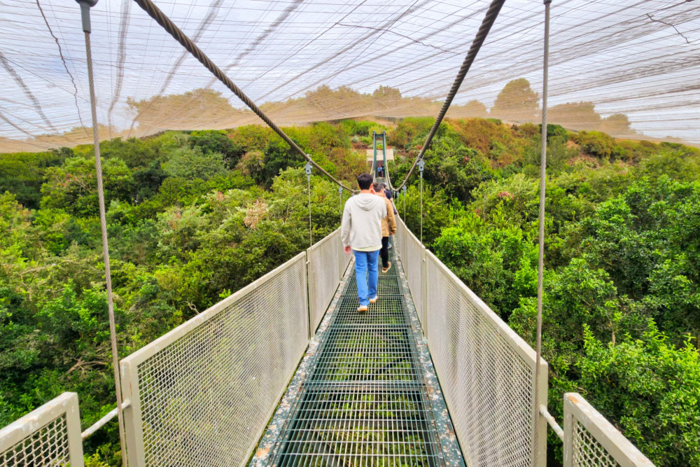 Tricao Park Aviary & Undurraga Winery Day Tour with Wine Tasting