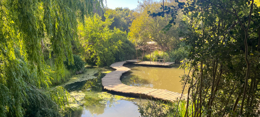 Tricao Park Aviary & Undurraga Winery Day Tour with Wine Tasting