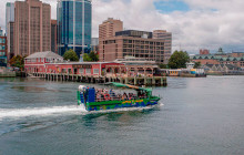 Ambassatours Grayline2