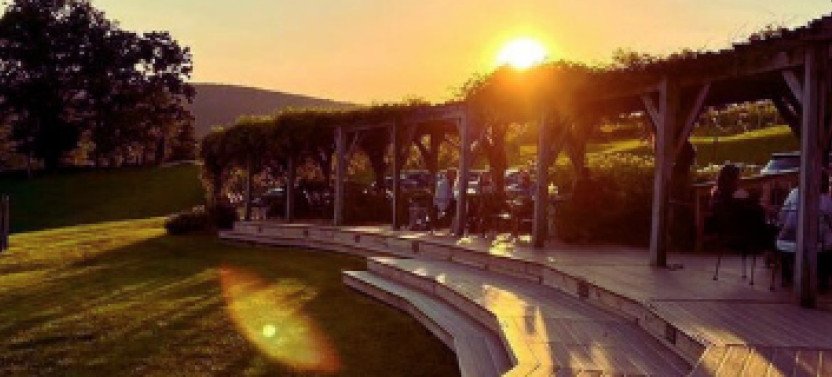 Full-Day Luxury Wine Country Tour of 3 Handpicked Loudoun Wineries